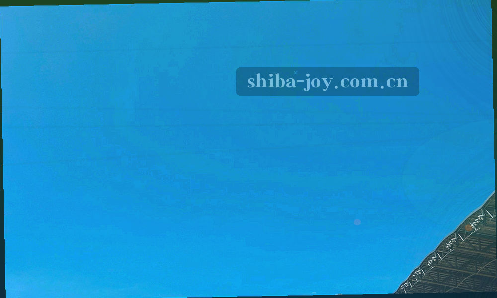 四个标签卡片围绕一张游戏条目说明牌排列，分别标注版本号、适配说明、已知问题与推荐设备